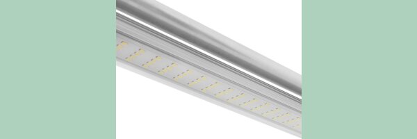 ROOT!T LED