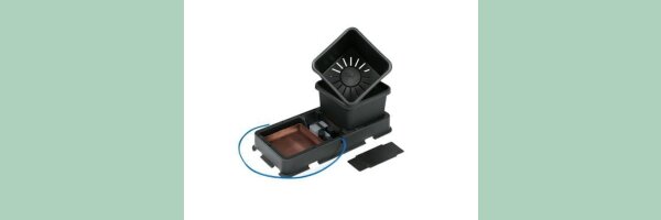 AutoPot