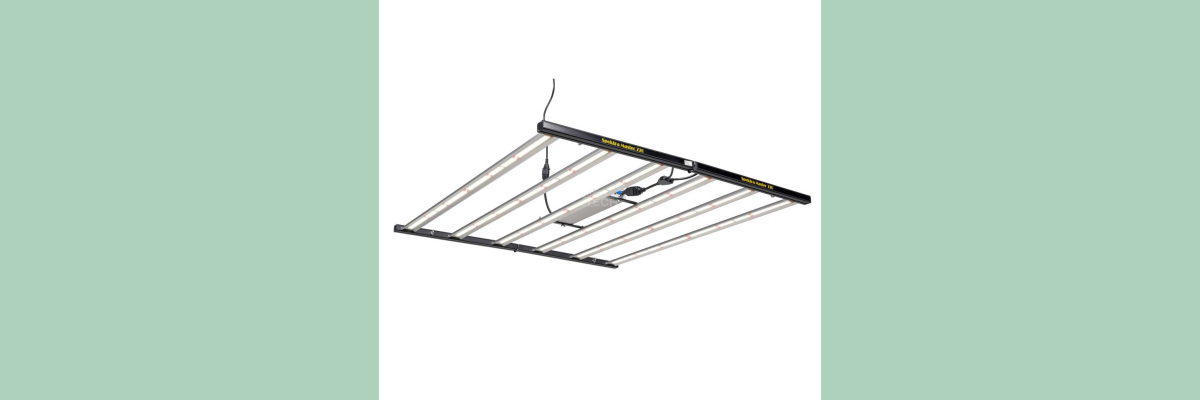 Fox Lighting Europe BV