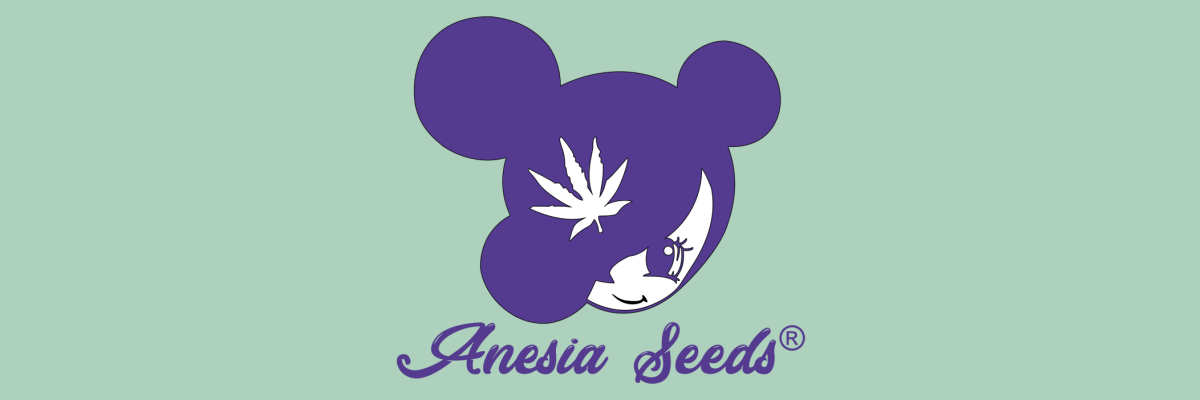 Anesia