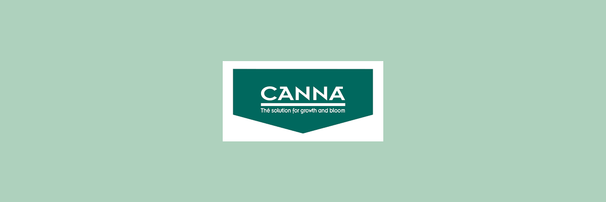 Canna