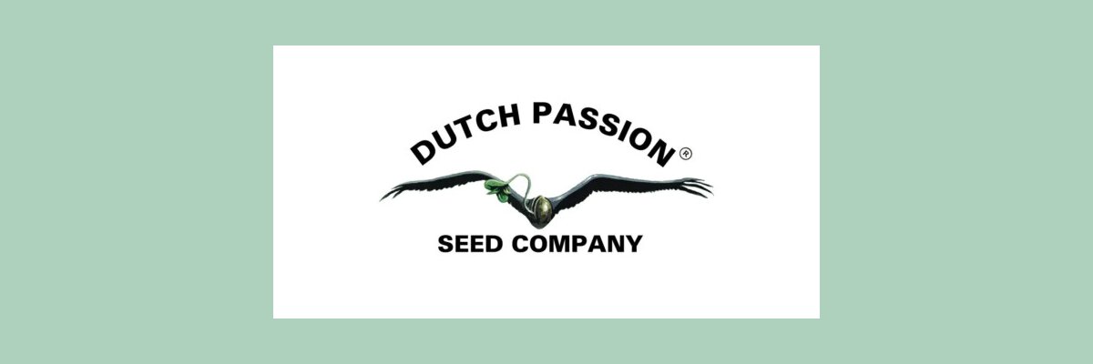 Dutch Passion Seeds