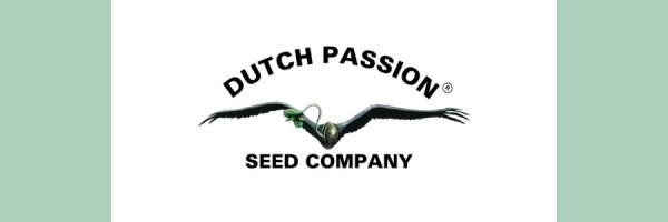 Dutch Passion Seeds