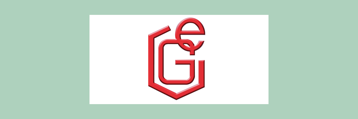 Greisinger