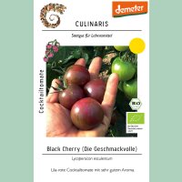 Cocktailtomate Black Cherry