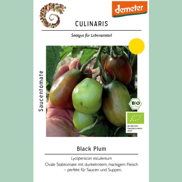 Saucentomate Black Plum