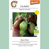 Saucentomate Black Plum