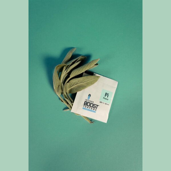 Integra Boost Terpene Pinene 62% 4g