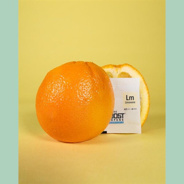 Integra Boost Terpene Limonene 62% 4g