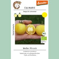 Salattomate Weißer Pfirsich