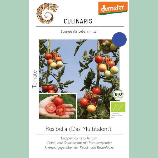 Freilandtomate Resibella