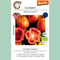 Fülltomate Striped Cavern