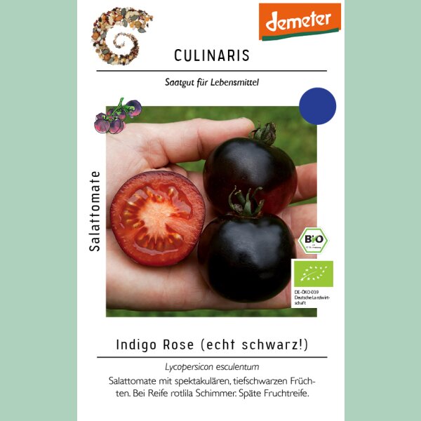 Salattomate Indigo Rose