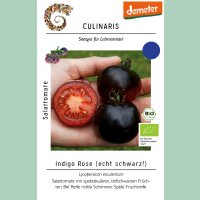 Salattomate Indigo Rose