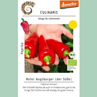 Paprika Roter Augsburger