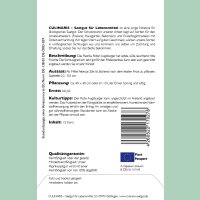 Paprika Roter Augsburger