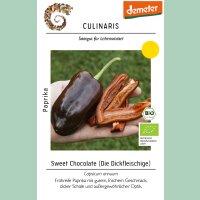 Paprika Sweet Chocolate