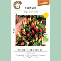 Chili Prairie Fire