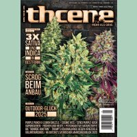 THCENE Magazin