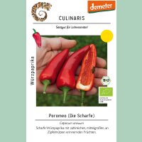 Würzpaprika Poromeo (ehemals Fresno)