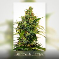 Kannabia Amnesi-K Lemon Fem. 3St.