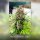 Kannabia Baby Boom Auto Fem. 3St.