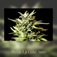 Kannabia Break-Up Cake Auto Fem. 3St.