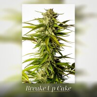 Kannabia Break-Up Cake Fem. 3St.