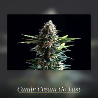 Kannabia Candy Cream Go Fast Fem. 3St.