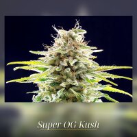 Kannabia Super OG Kush Fem. 3St.