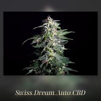 Kannabia Swiss Dream Auto CBD Fem. 3St.