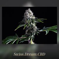 Kannabia Swiss Dream CBD Fem. 3St.