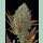 Fast Buds Pineapple Express Auto Fem. 3St.