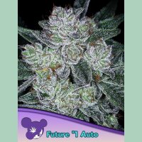 Anesia Future #1 Auto Fem. 3St.
