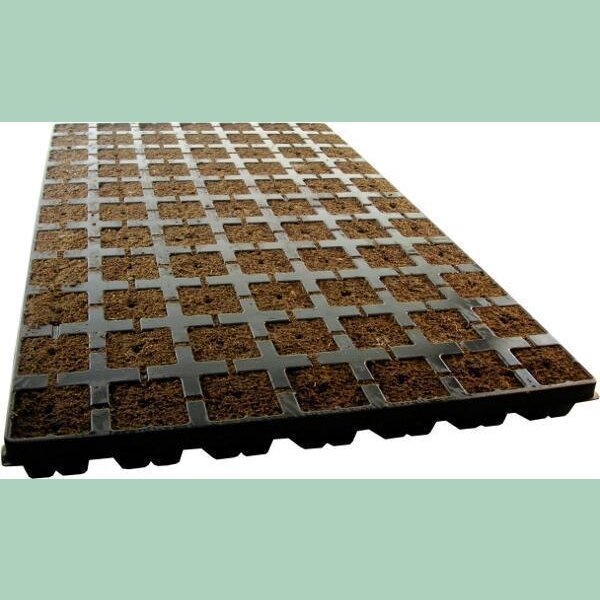 Eazy Plug 77er Tray