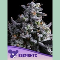 Anesia Elementz Fem. 3St.