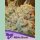 Anesia White Runtz Fem. 3St.