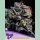 Anesia Blueberry Banana Auto Fem. 3St.