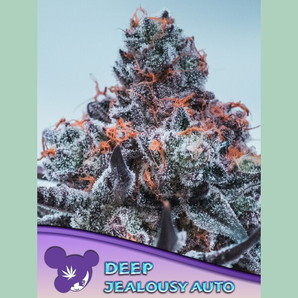 Anesia Deep Jealousy Auto Fem. 3St.