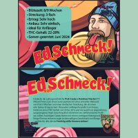 Hanfzwerg Ed von Schmeck Fem. 3St.