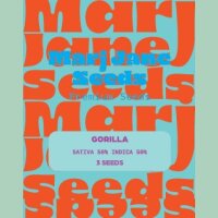 Marj Jane Gorilla Fem. 3St.