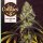 T.H. Seeds French Cookies Fem 6St.