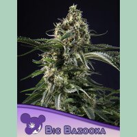 Anesia Big Bazooka Fem 3St.