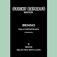Sticky Experts Benno GelatoGoGrape Fem 6St.