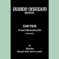 Sticky Experts Dieter PunchBananaOG Fem 6St.