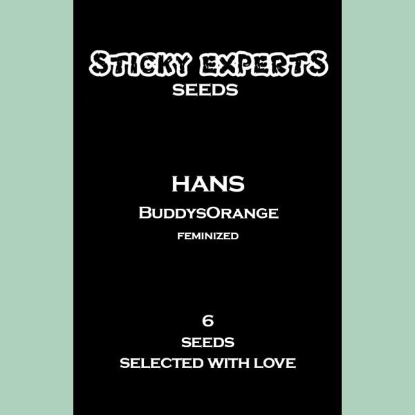 Sticky Experts Hans BuddysOrange Fem 6St.