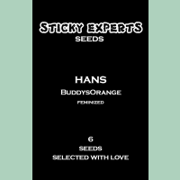 Sticky Experts Hans BuddysOrange Fem 6St.