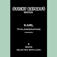 Sticky Experts Karl TotalAmnesiaHase Fem 6St.
