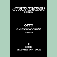 Sticky Experts Otto GangstaGoSourOG Fem 6St.