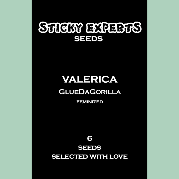 Sticky Experts Valerica GlueDaGorilla Fem 6St.